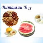 Польза Витамина В15